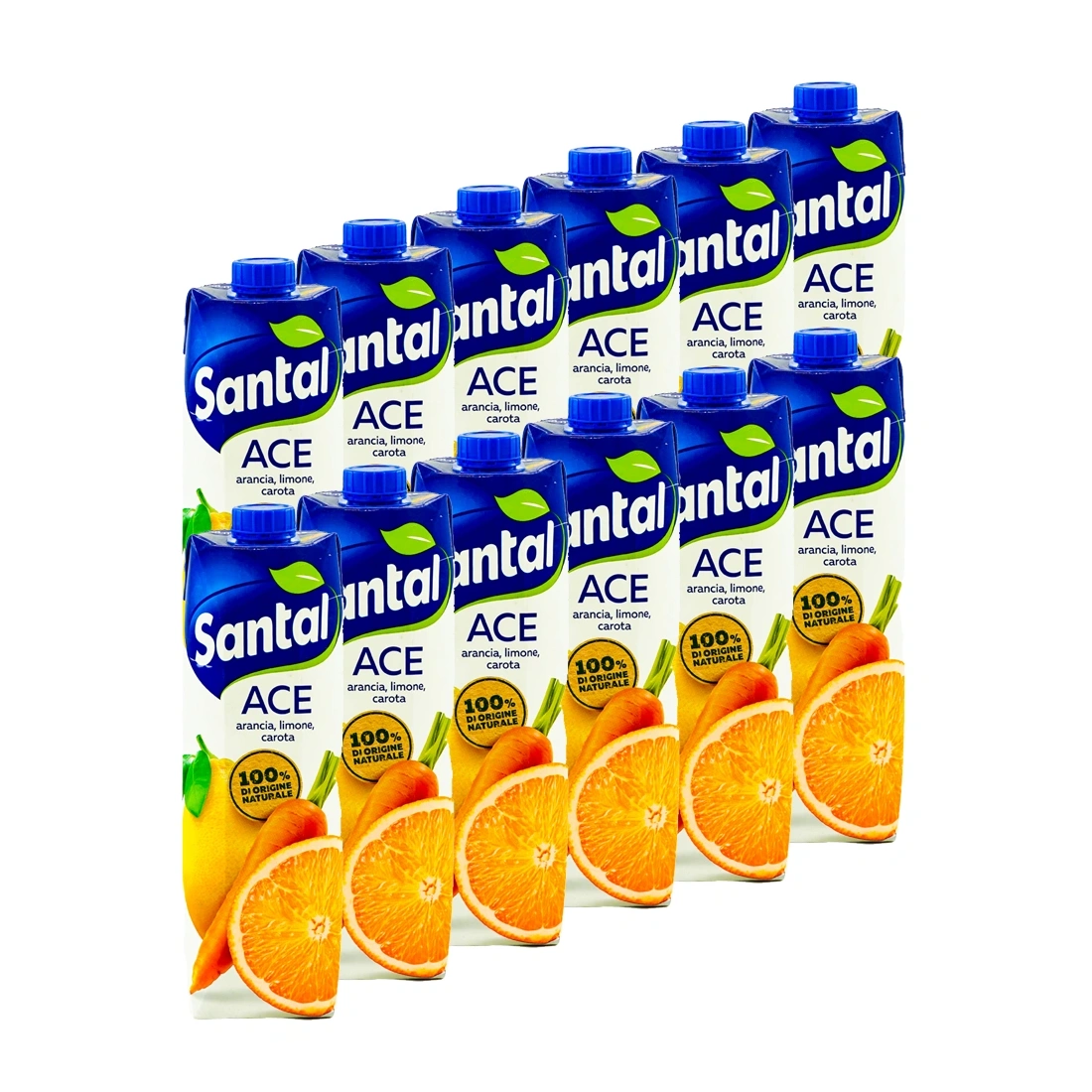 Santal Classico ACE Multipack 12 x 1000ml